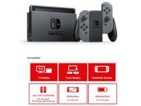 Nintendo Switch in Grau