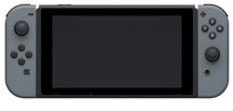 Nintendo Switch in Grau