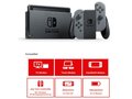Nintendo Switch in Grau 